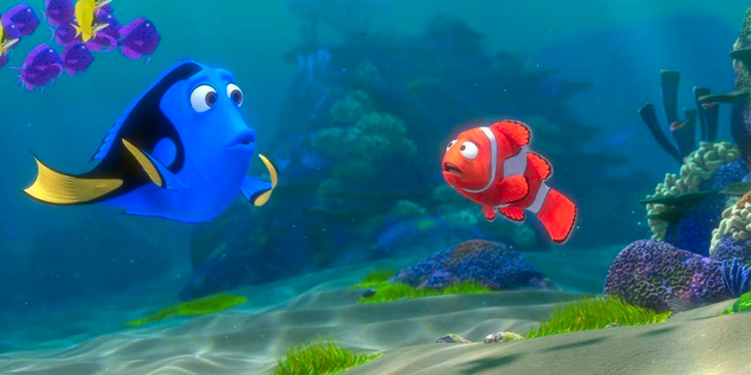 Marlin and Dory looking confused in Finding Nemo Image