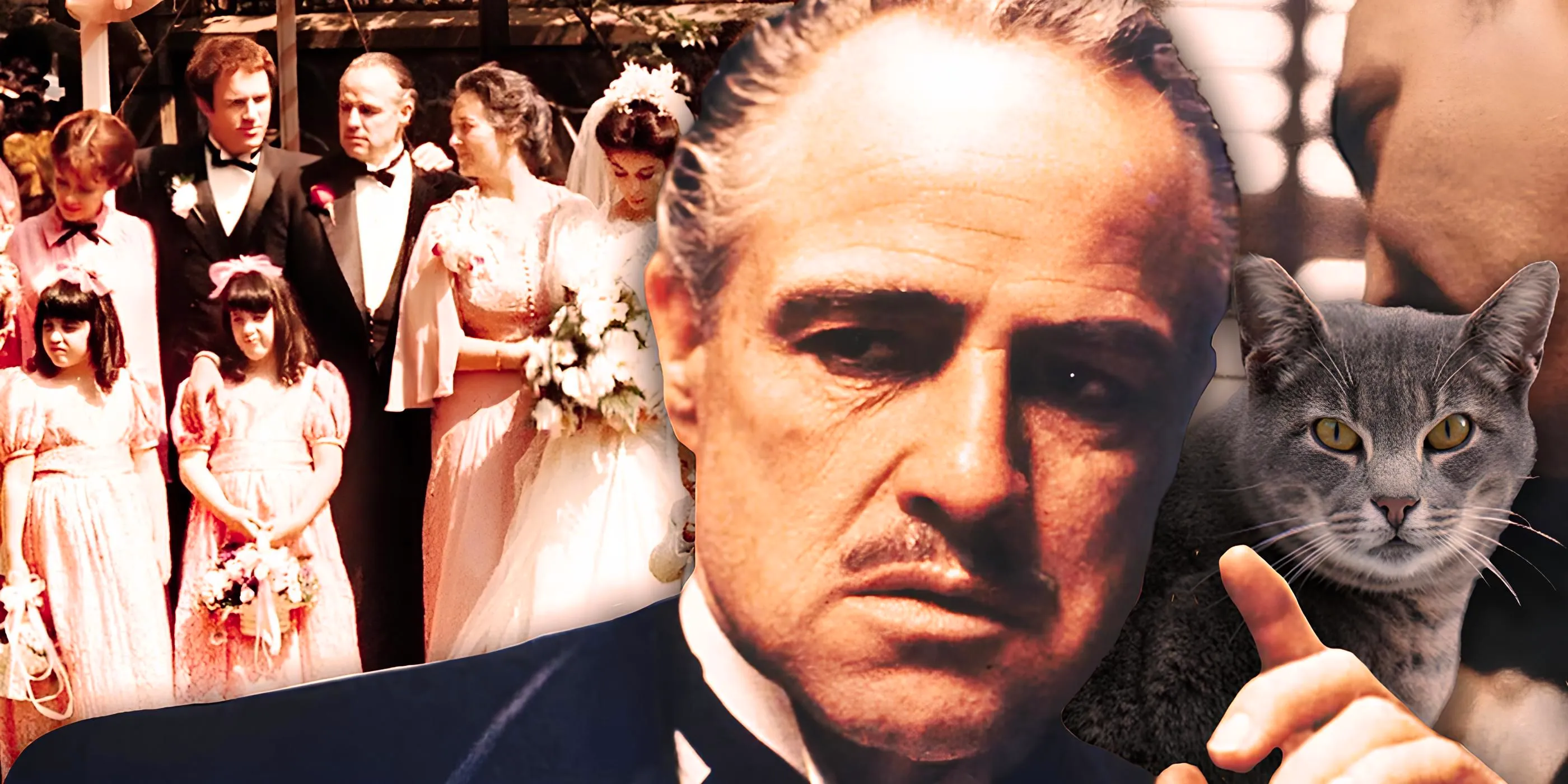 Marlon Brando in the Godfather in front of the wedding scene Image