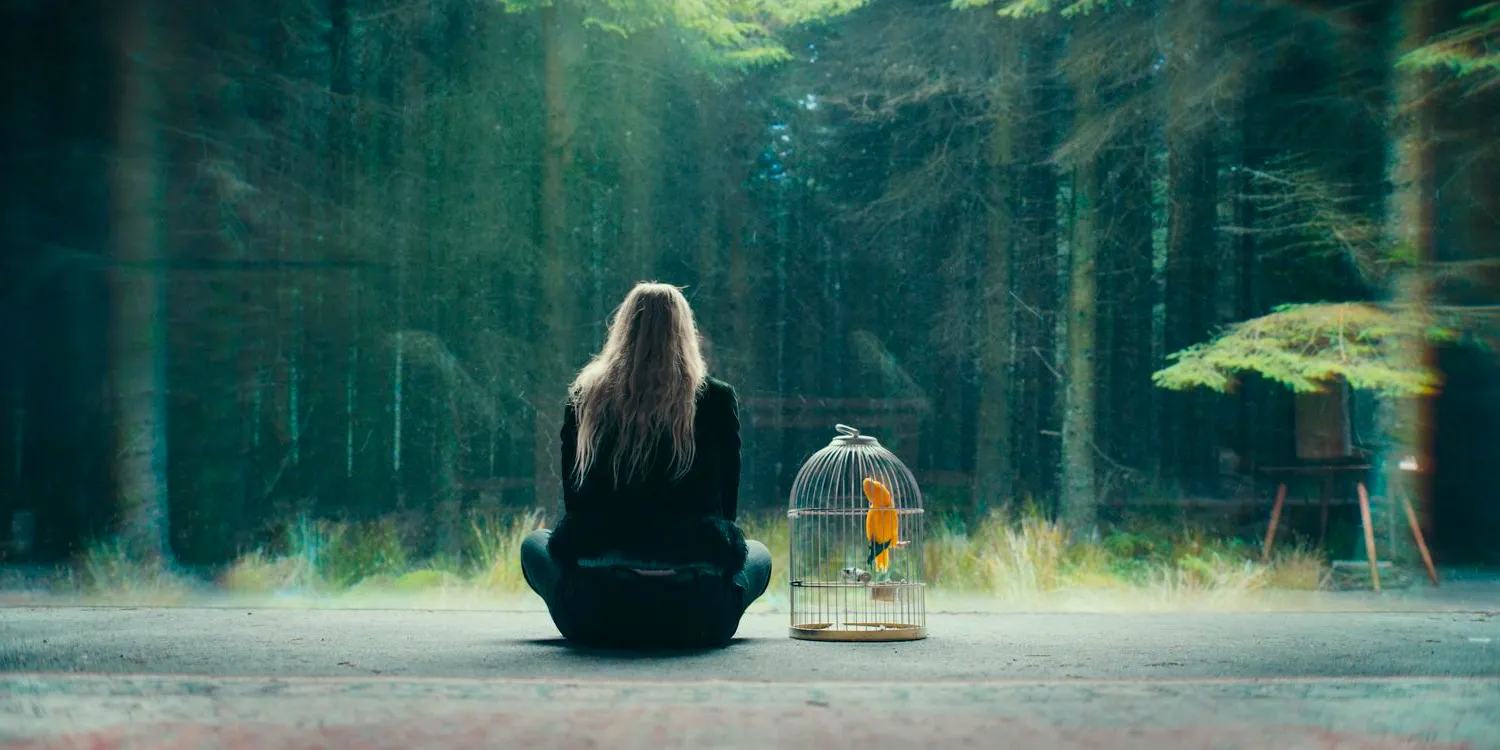 Mina (Dakota Fanning) sits next to her birdcage, facing a large glass wall that reveals the depth of the forest in The Watchers Image