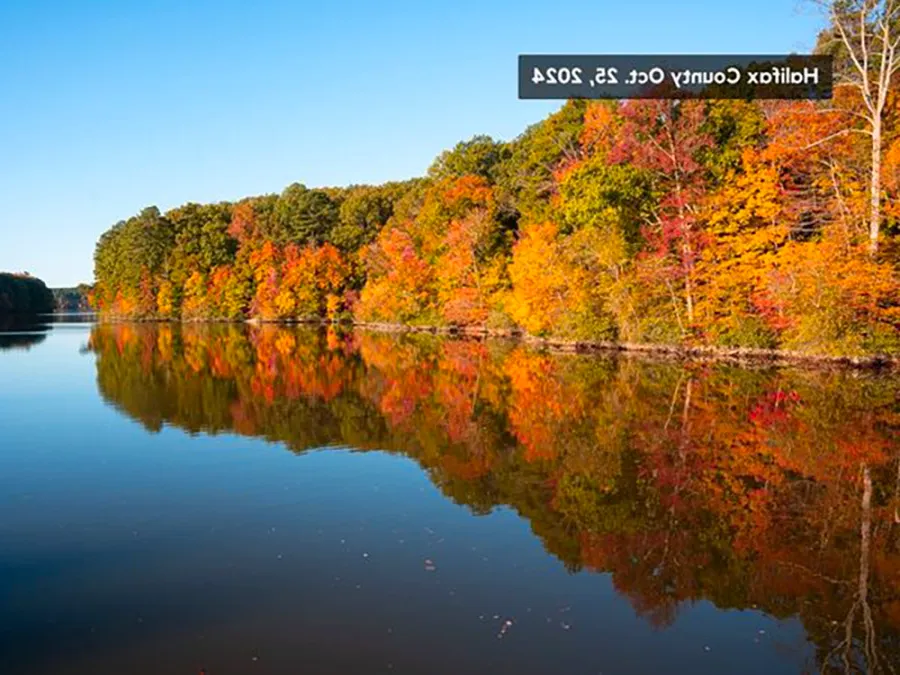 Most of Virginia in peak fall foliage, some are almost past Image