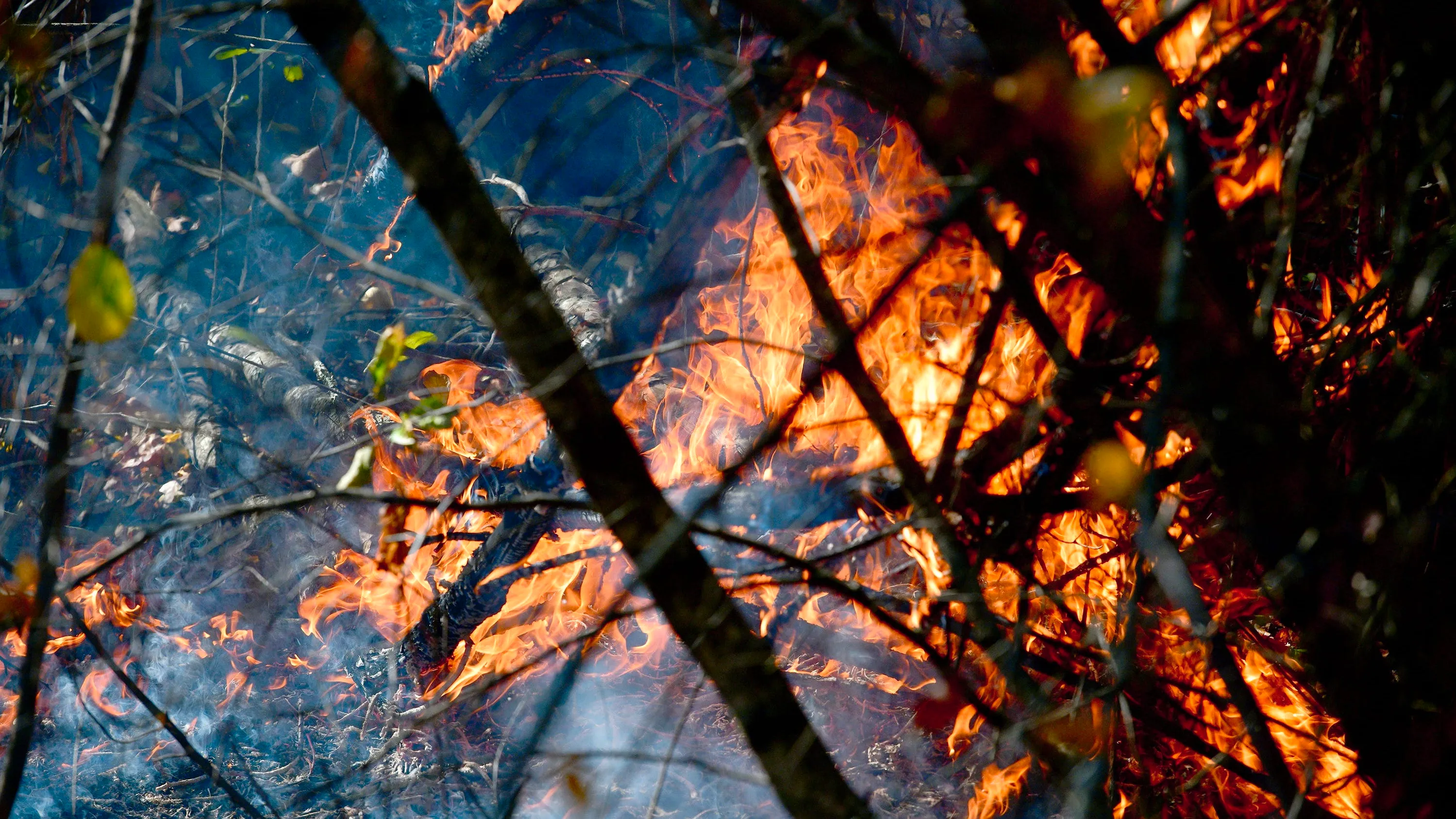 Multiple brush fires burn across Massachusetts, bans put in place: See map of blazes Image