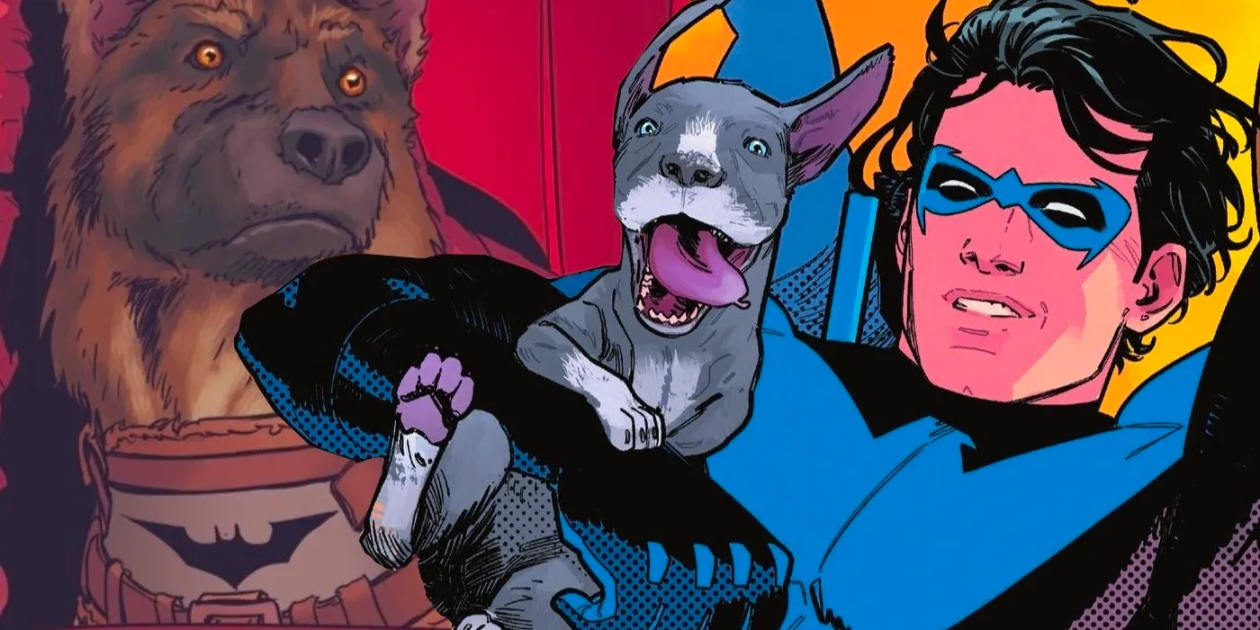 Nightwing-Dog-Haley-Bitewing-Batman-Ace-Featured Image