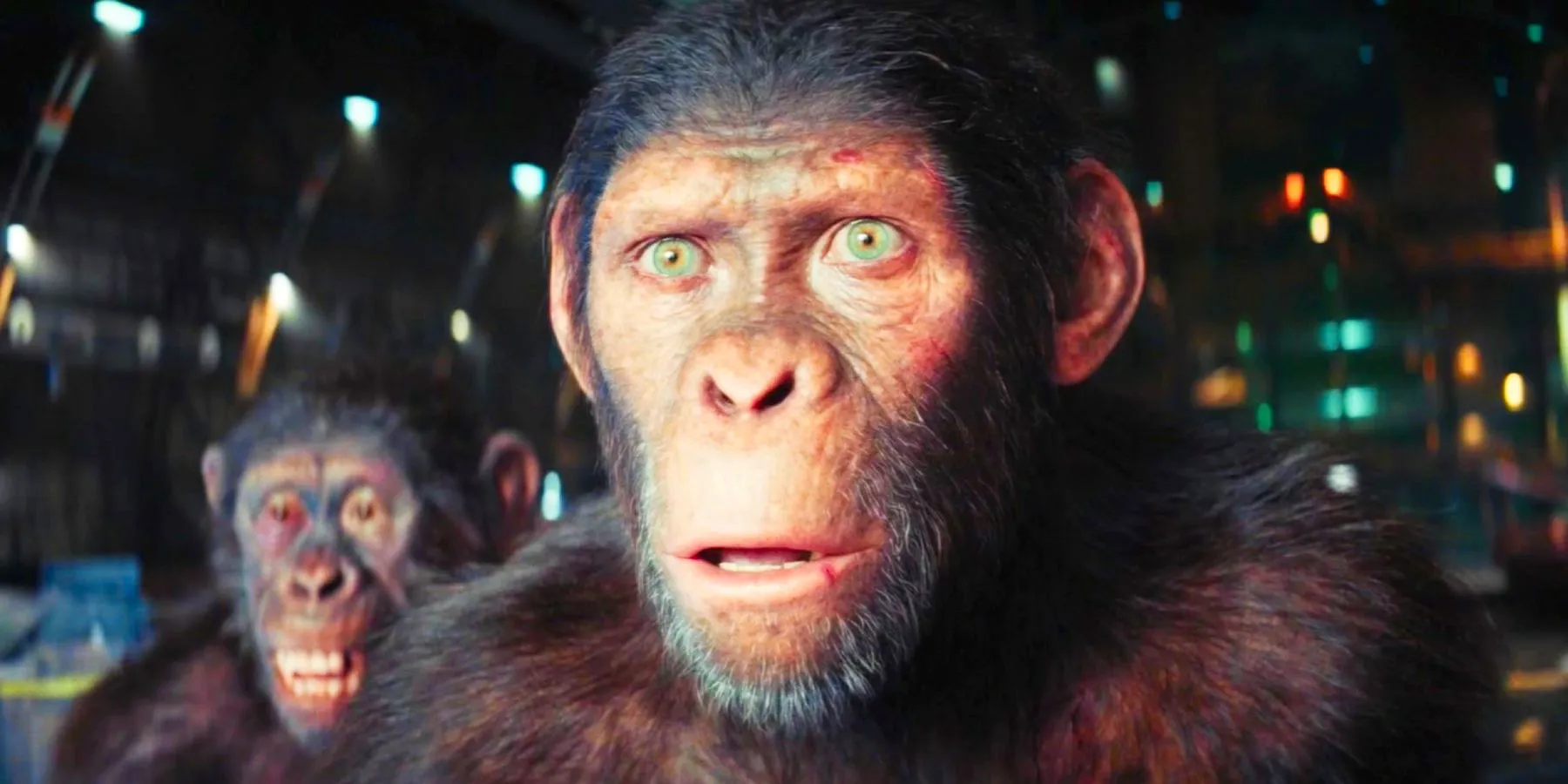 Noa looking shocked in Kingdom of the Planet of the Apes Image