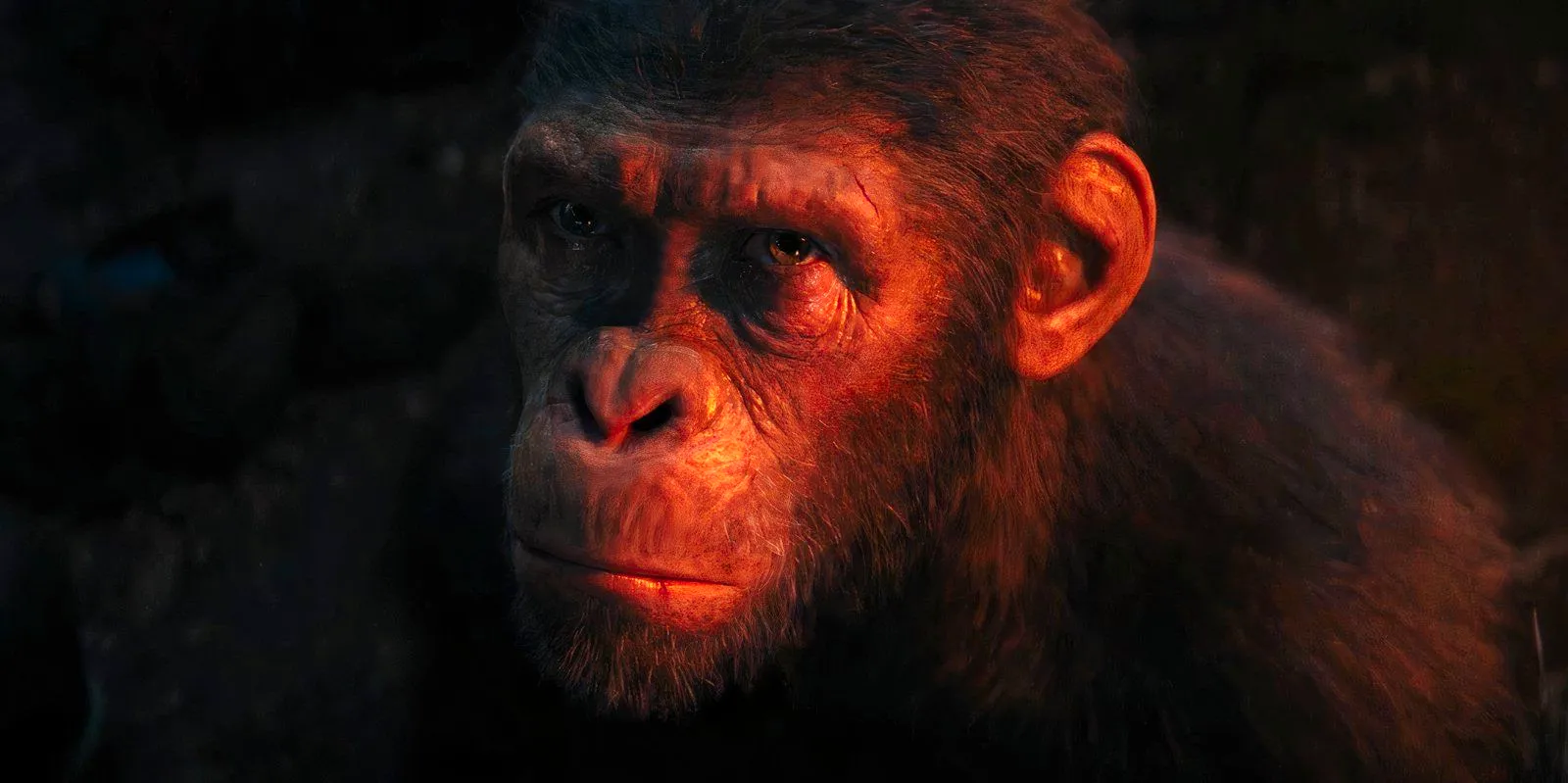 Noa looking up in Kingdom of the Planet of the Apes ending Image