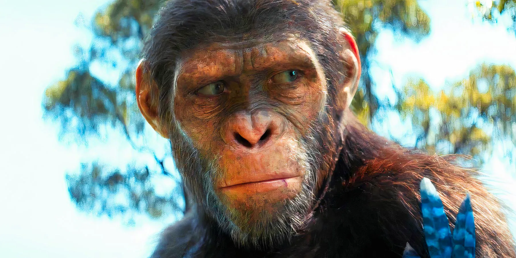 Owen Teague as Noa in Kingdom of the Planet of the Apes Image