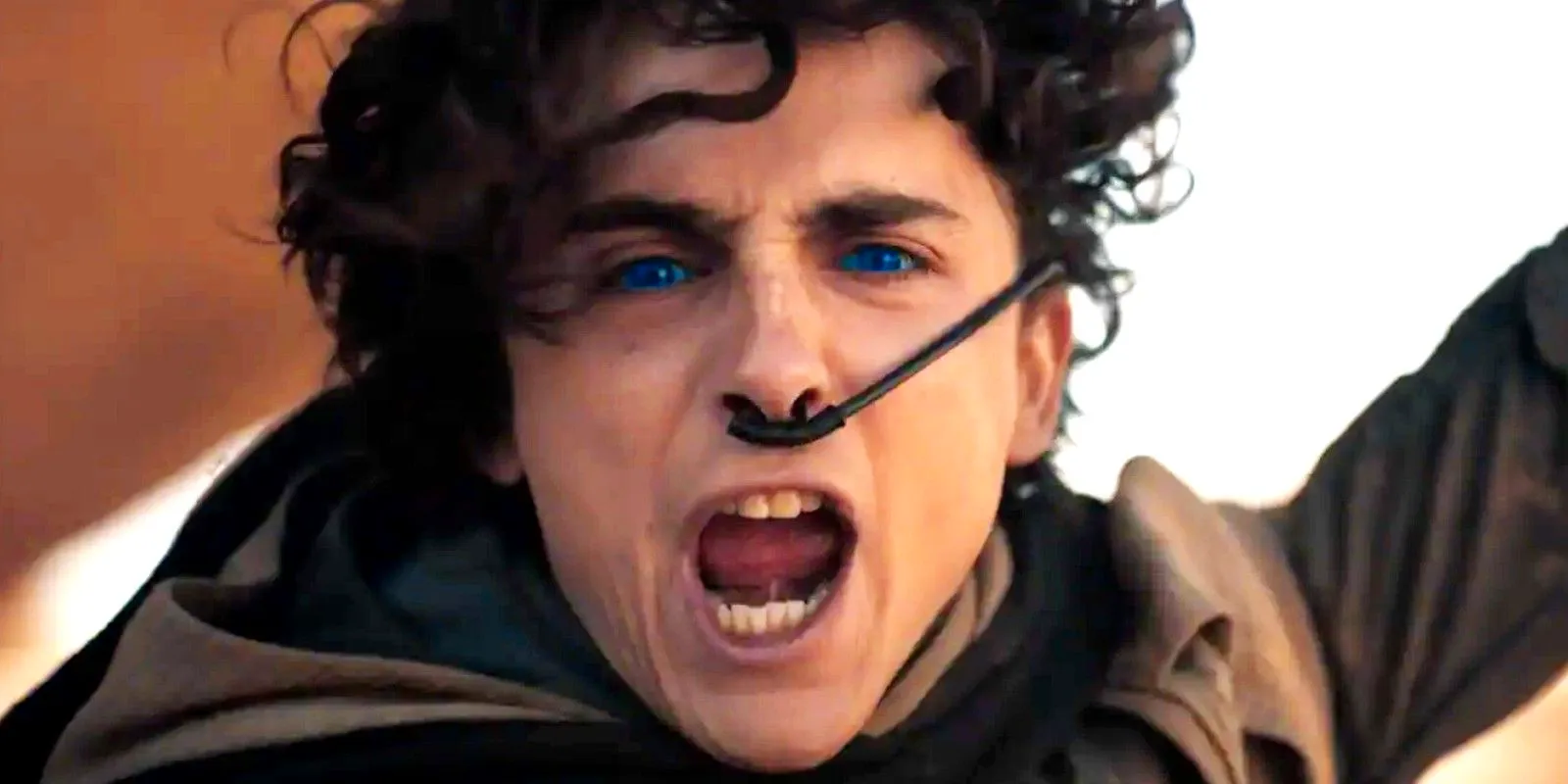 Paul Atreides played by Timothée Chalamet streaming in front of the Fremen in Dune 2, establishing his role as their messiah Image