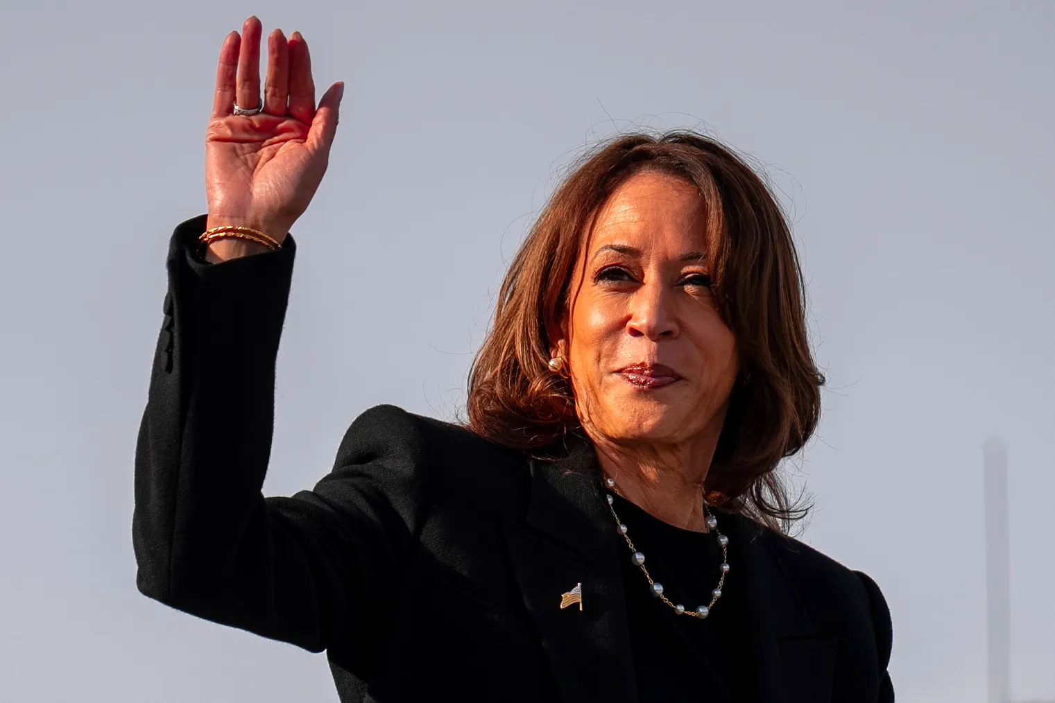 Polls May 'Underestimate' Kamala Harris' Chances—Political Analyst - Newsweek Image