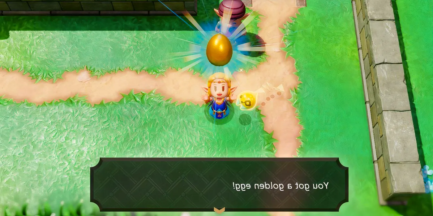 Princess Zelda Finding A Golden Egg With Tri By Her Side in Echoes of Wisdom Image