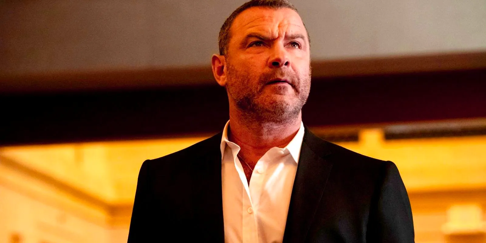 Ray Donovan looking to his side in Ray Donovan Image