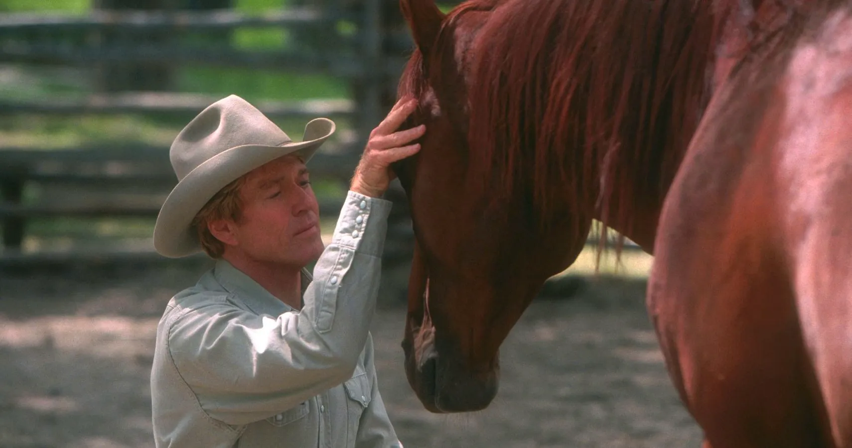 Robert Redford petting his horse and looking at it fondly on The Horse Whisperer Image