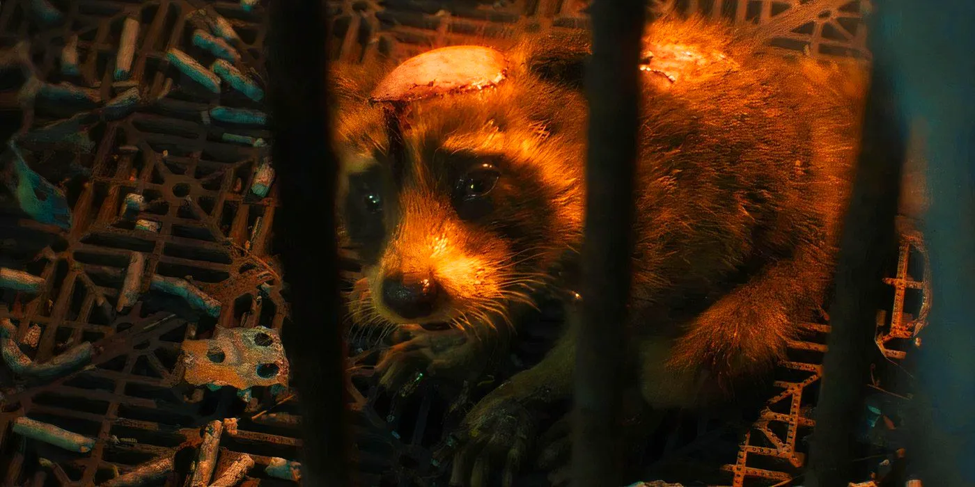 Rocket in pain in Guardians of the Galaxy Vol. 3 Image