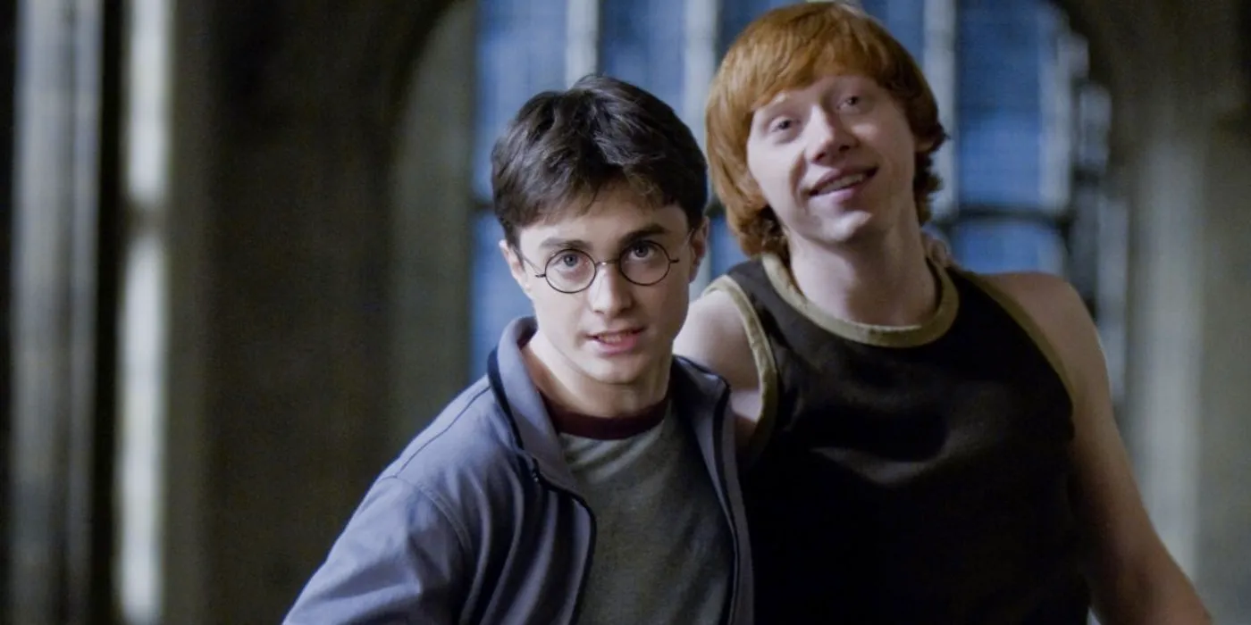 Ron and Harry in Harry Potter Image