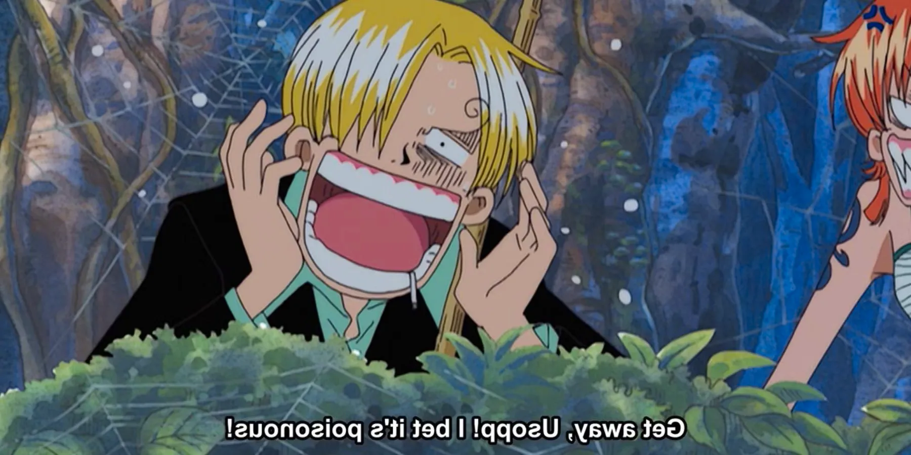 Sanji advising Ussop to get away from bugs while he is scared Image