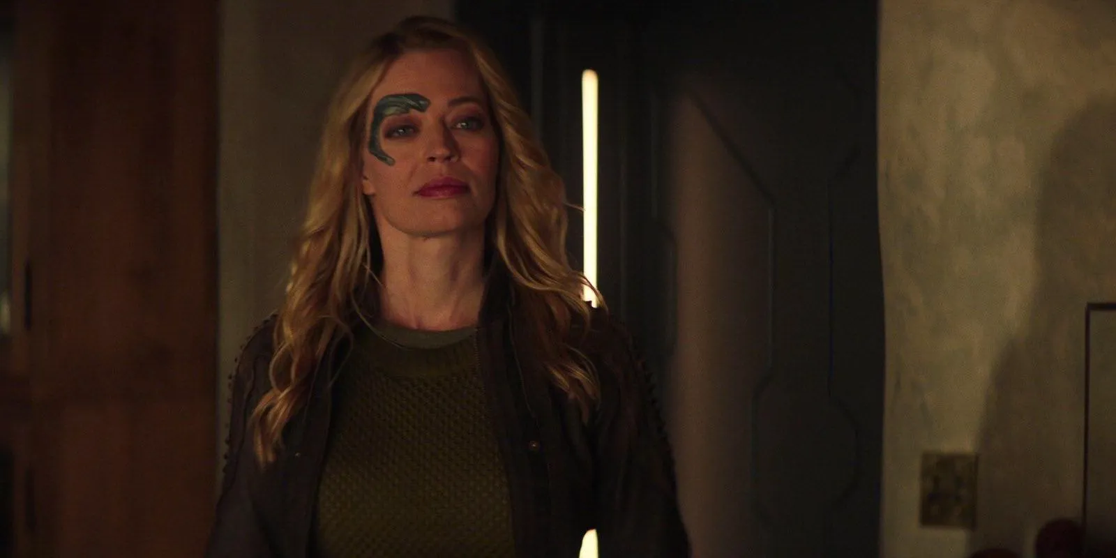 Seven of Nine (Jeri Ryan) in Star Trek Picard season 1 Image