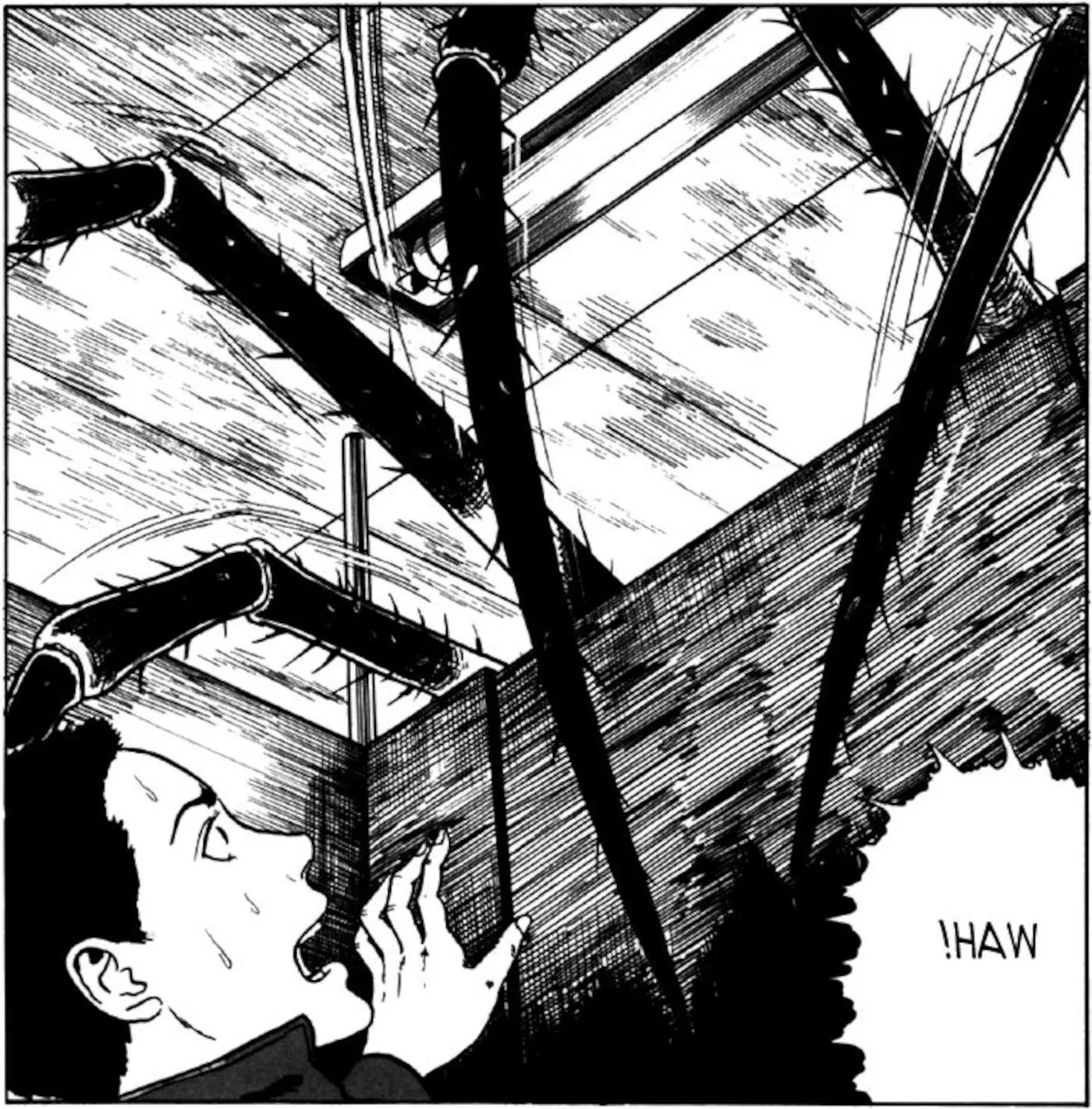 Spider curse in Junji Ito Soichi's Petty Curses Image