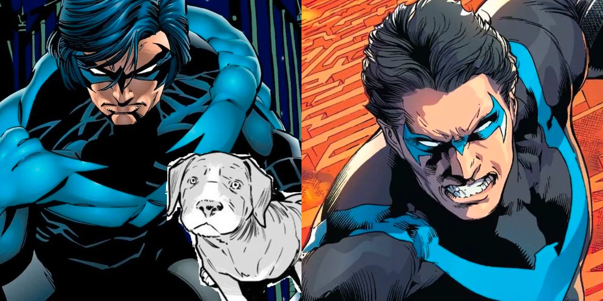 Split image of DC's Nightwing alone and with his dog Image