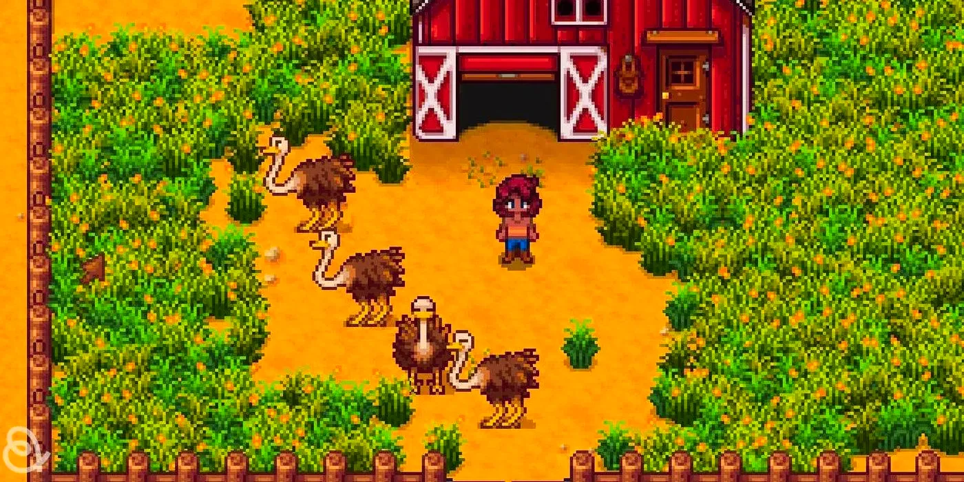 stardew-valley-ostriches-on-farm-cropped.jpg Image