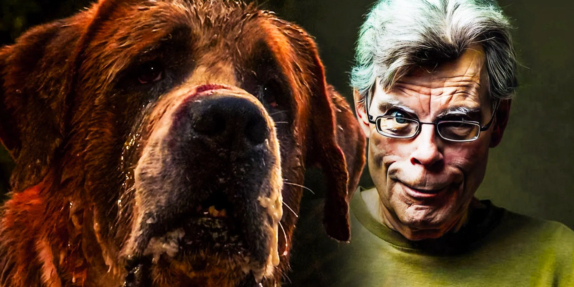 Stephen king Cujo Image