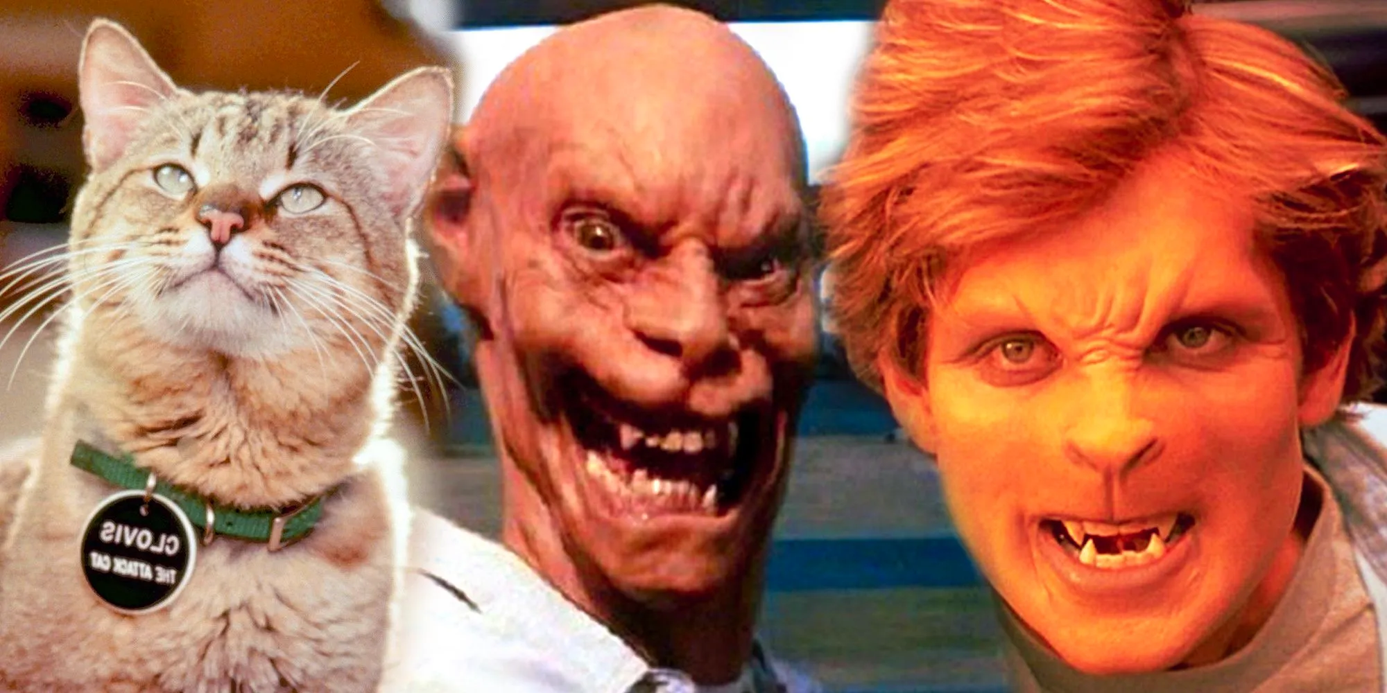 Stephen King's Sleepwalkers Charles Brady Cat Transformation Image