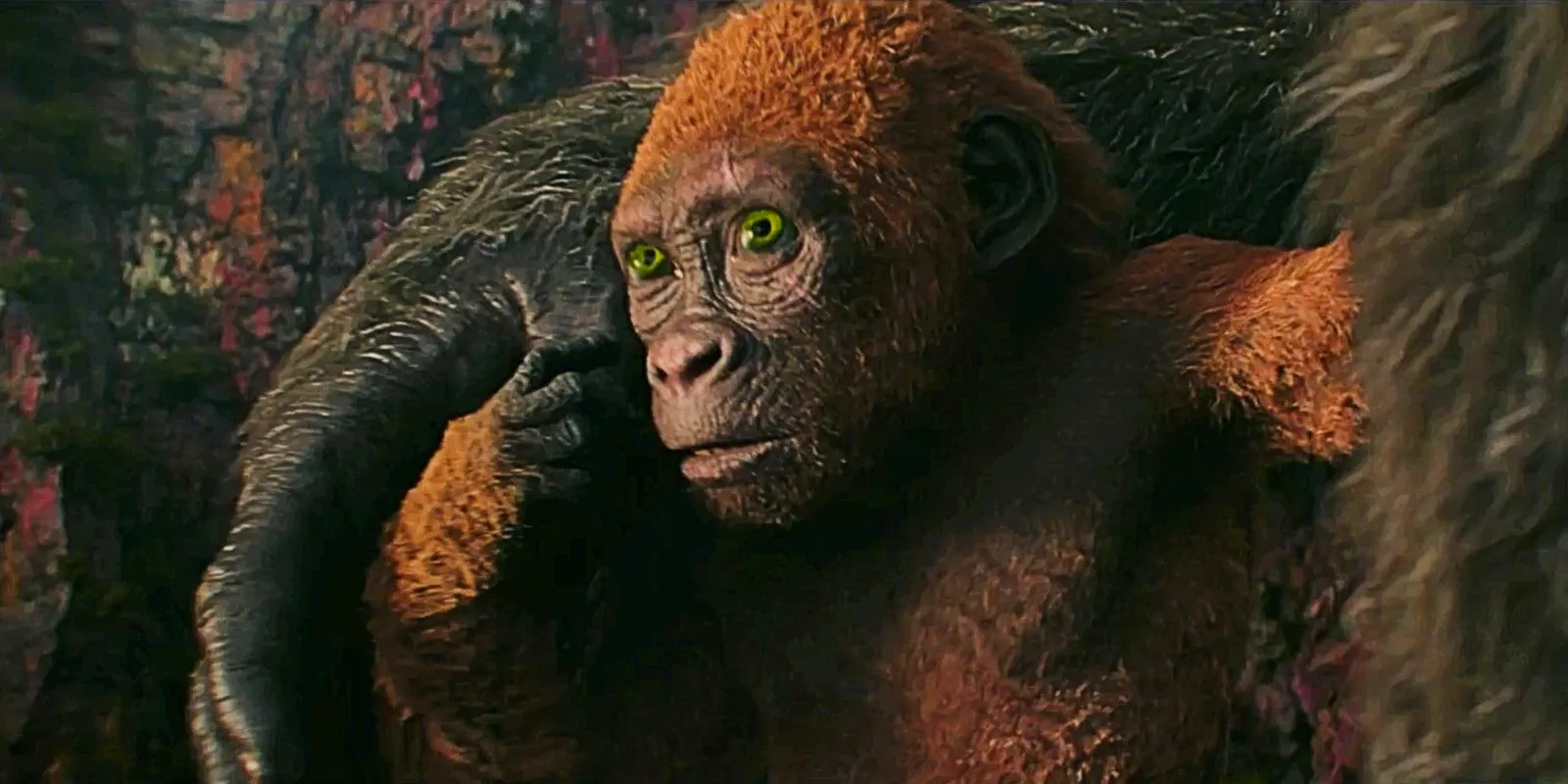 Suko holding Kong's thumb and looking scared in Godzilla x Kong The New Empire Image