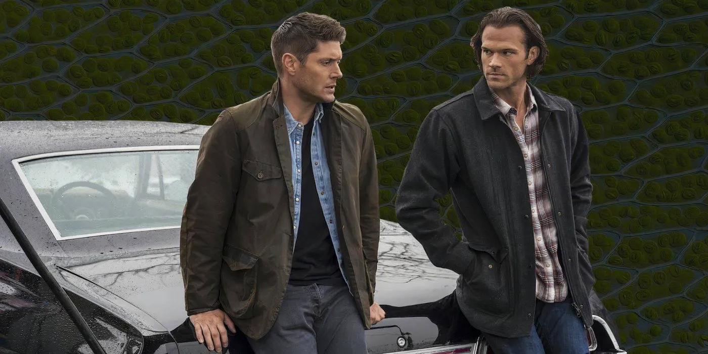 Supernatural's Sam and Dean sit on the Impala Image