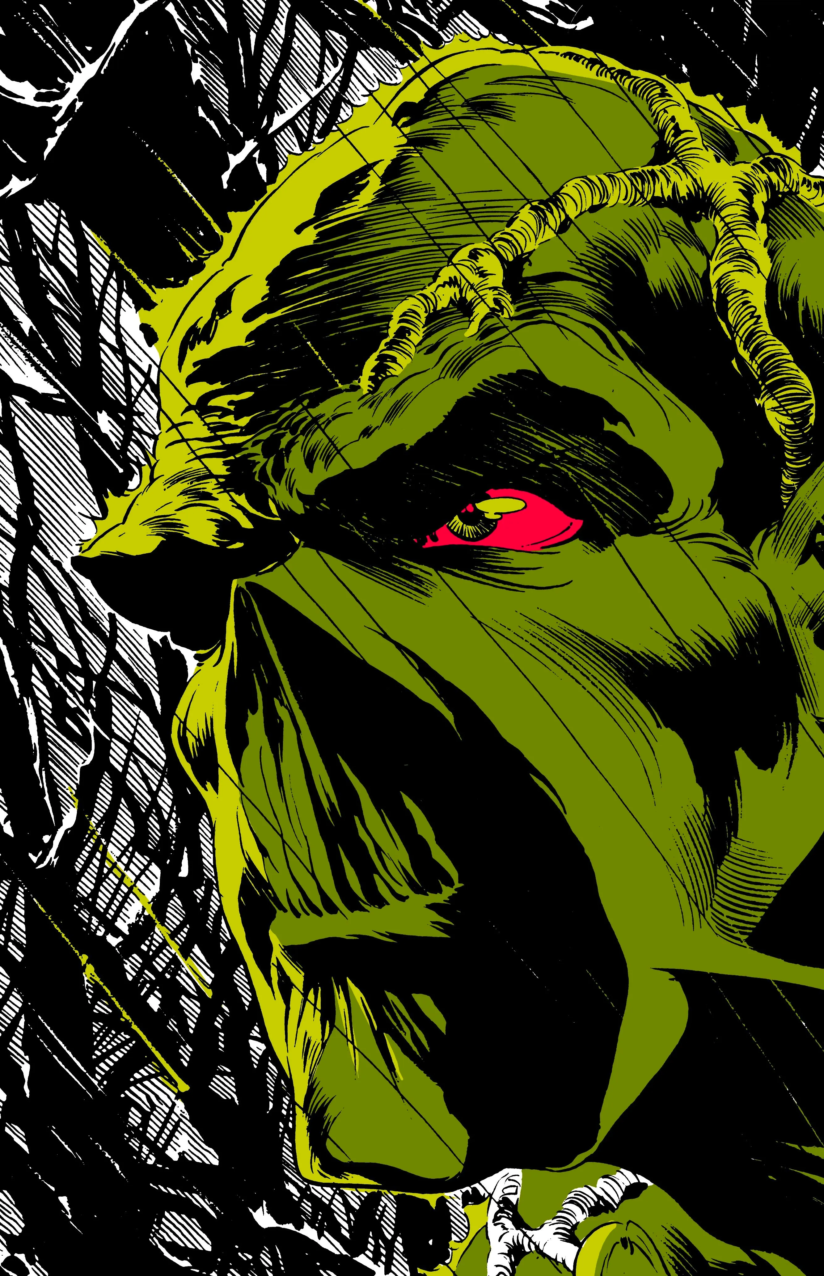 Swamp Thing in a DC Comic Book Image