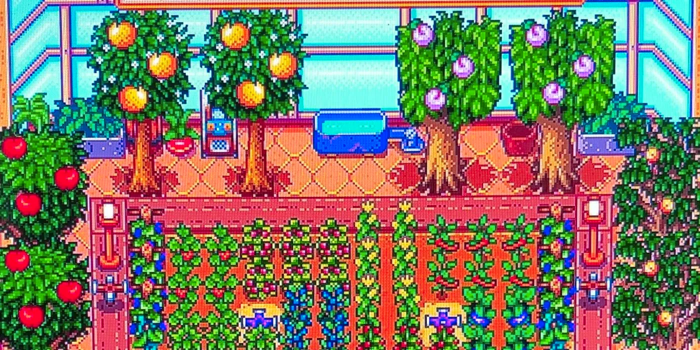 The Greenhouse, as seen in Stardew Valley, with various crops and fruit trees Image