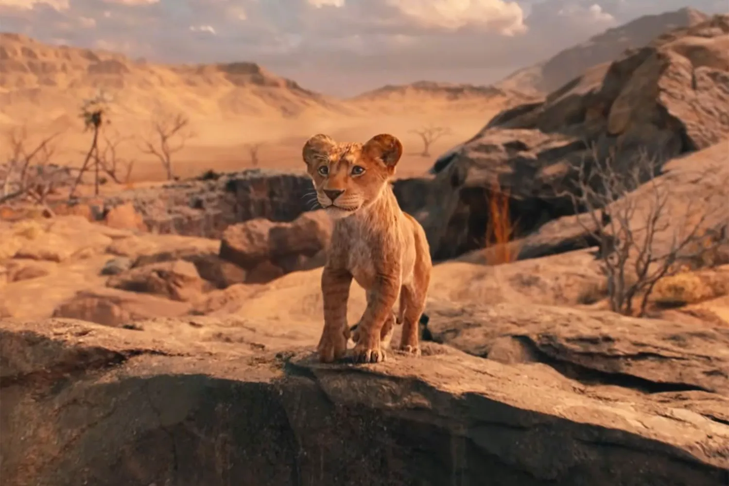 The Lion King Film Series: A Complete Guide (1994, 2019 & Beyond!) image 2 Image