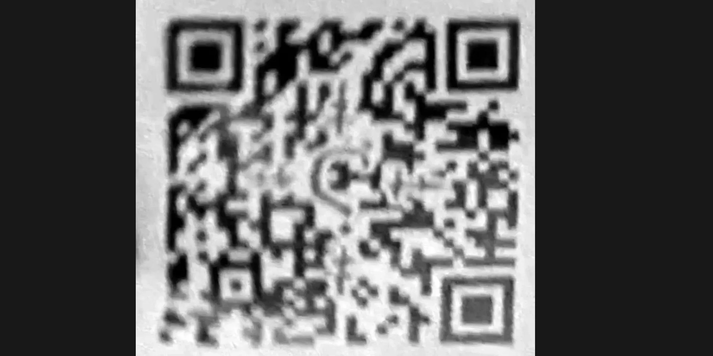 The Penguin QR Code Image