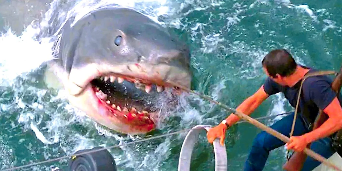 The shark attacks Brody in Jaws 1975 Image