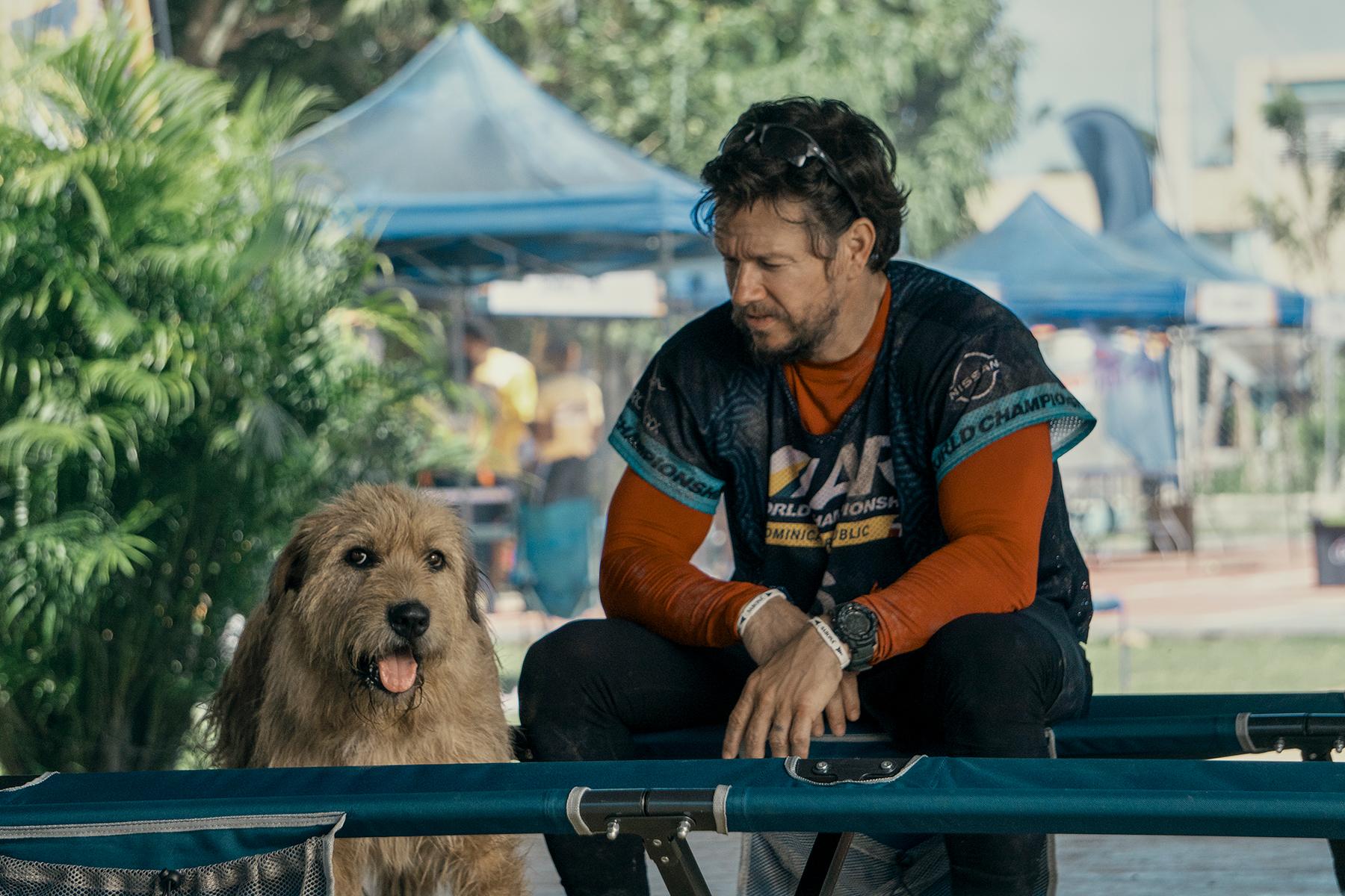 The Union Release Date: Mark Wahlberg, Halle Berry & Netflix Streaming Fun image 4 