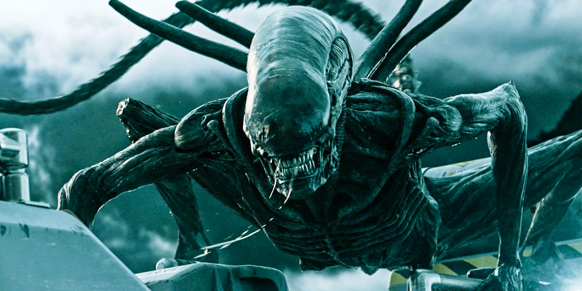 The xenomorph on a spaceship in Alien Covenant Image