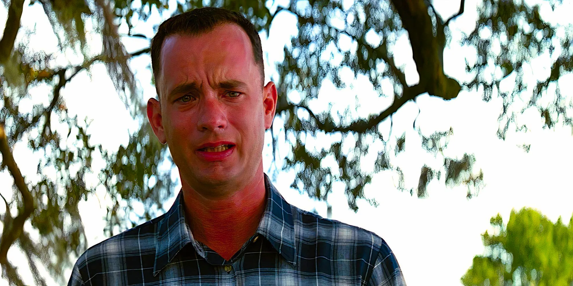 Tom Hanks as Forrest Gump on the verge of tears in a scene from Forrest Gump Image