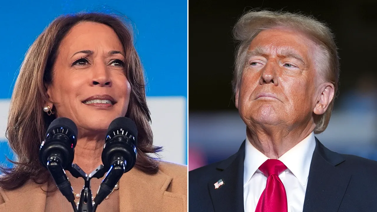 Trump, Harris neck and neck in battleground states with under 48 hours until Election Day, polls find Image