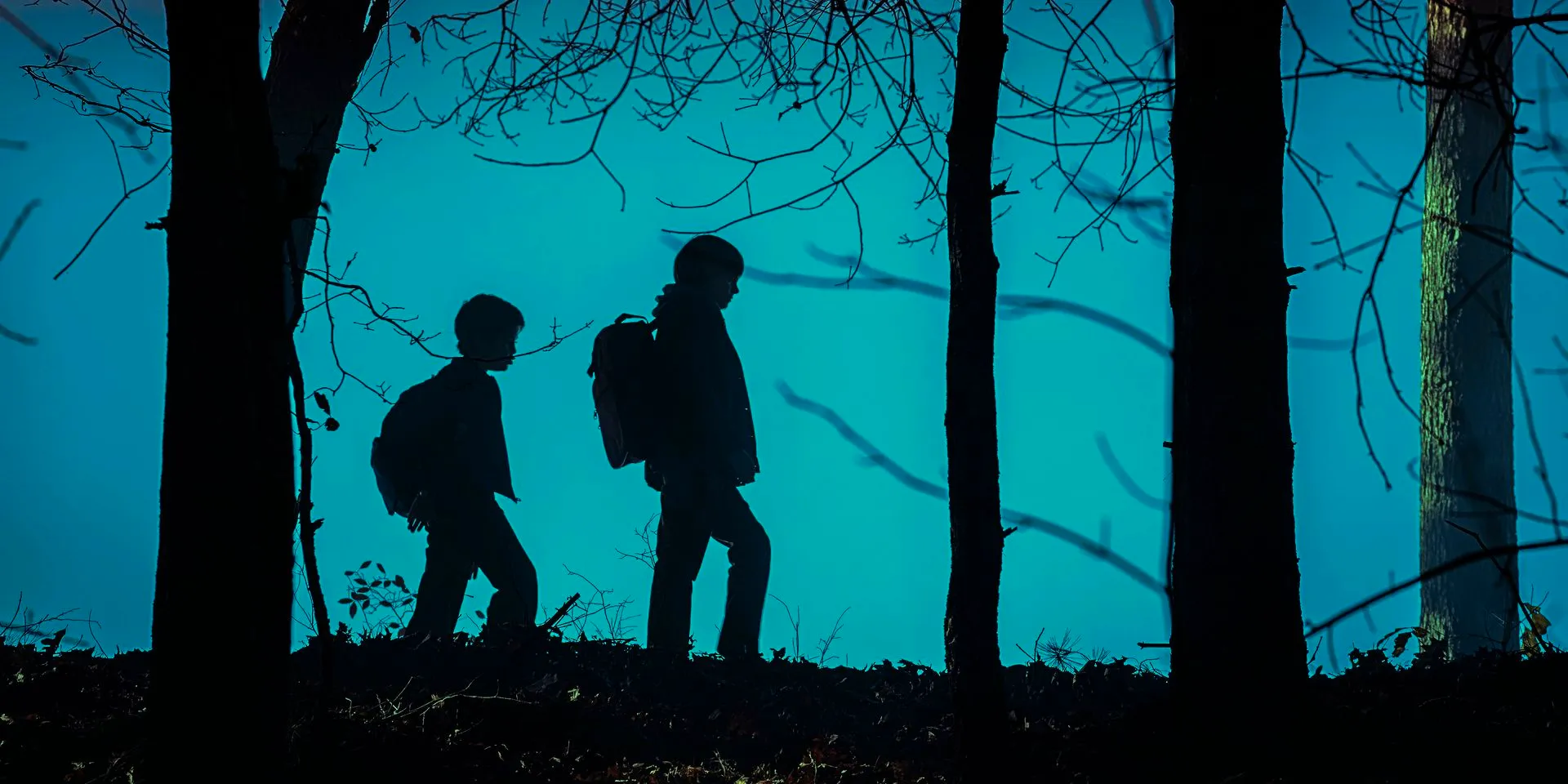 Two boys framed in silhouette walking through the woods in Salem's Lot 2024 Image