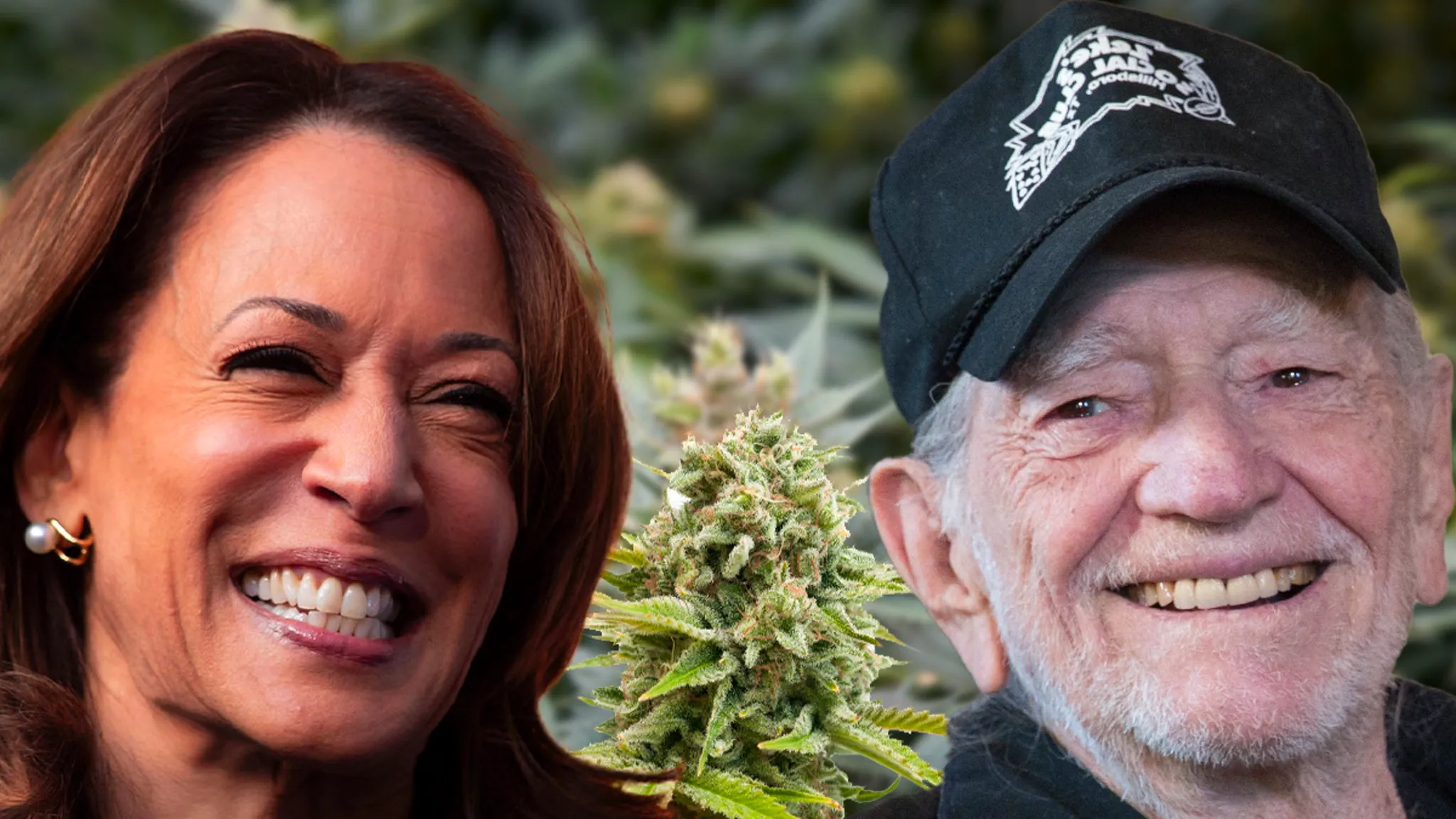 Willie Nelson Organizes Cannabis Community Event to Support Kamala Harris Image