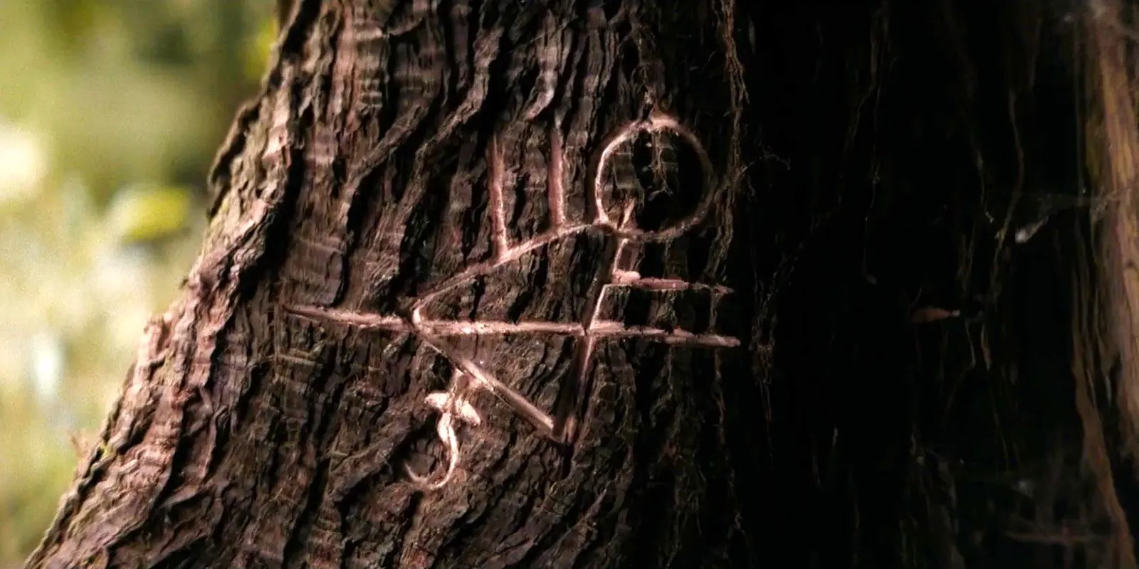 Yellowjackets Symbol in a tree Image