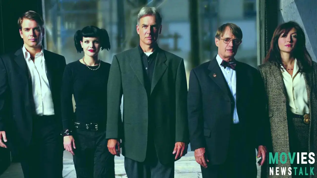 After 19 years, NCIS Spinoff could at last bring back Kate Todd. Main Image