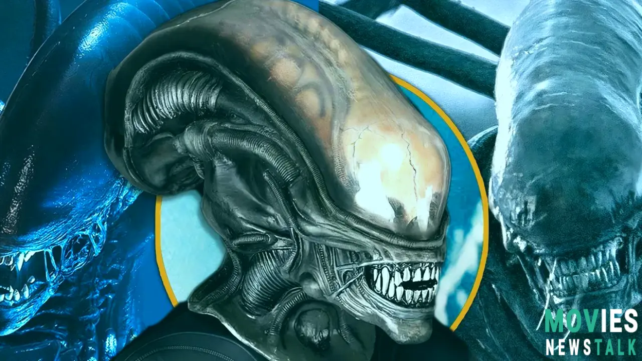 Alien Xenomorph Mask: The Ultimate Collectible for Fans! Main Image