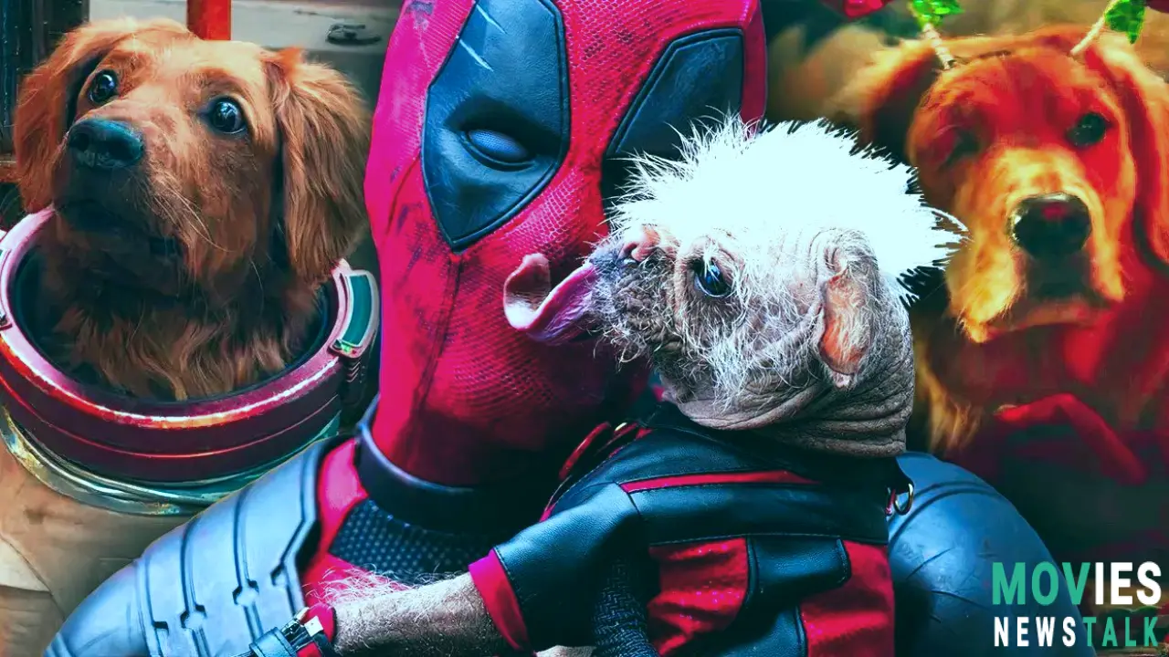 Best & Worst MCU Dogs: From Cosmo to Dogpool! Main Image