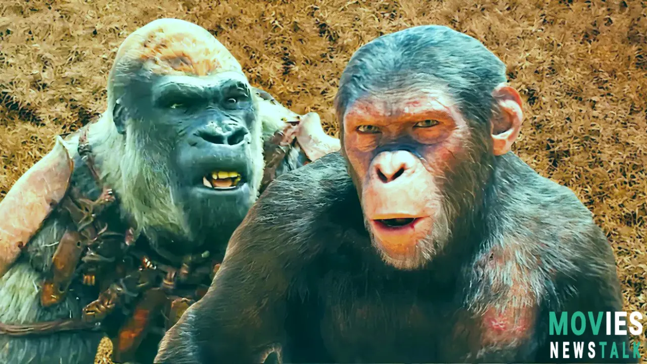 Box Office Roaring for Kingdom of the Planet of the Apes! Above $100 million and Outpaces Franchise Trend. Main Image