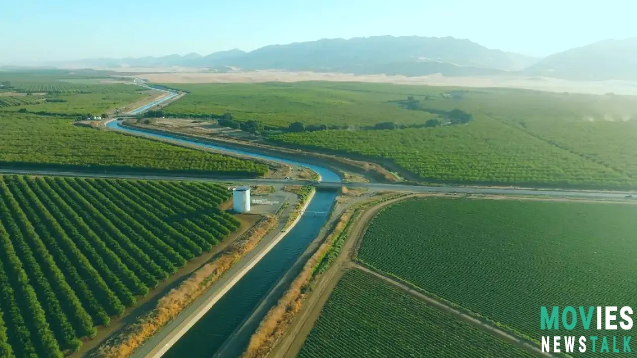 California Climate Bond PASSES! $10 BILLION for Wildfires, Drought & More - Prop 4 Results! Main Image