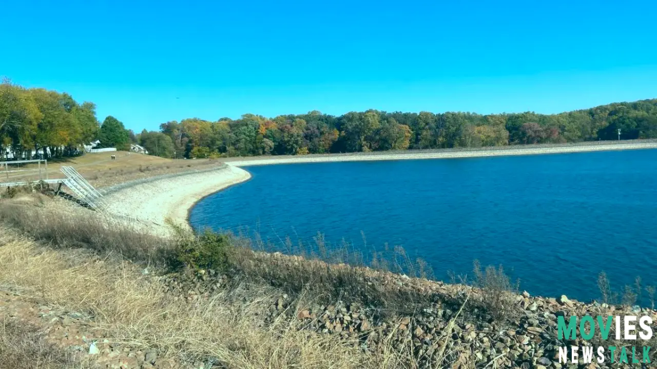 Delaware Bans FIREWORKS for Diwali!  Historic Drought Triggers Statewide Burn Ban - Details Inside! Main Image