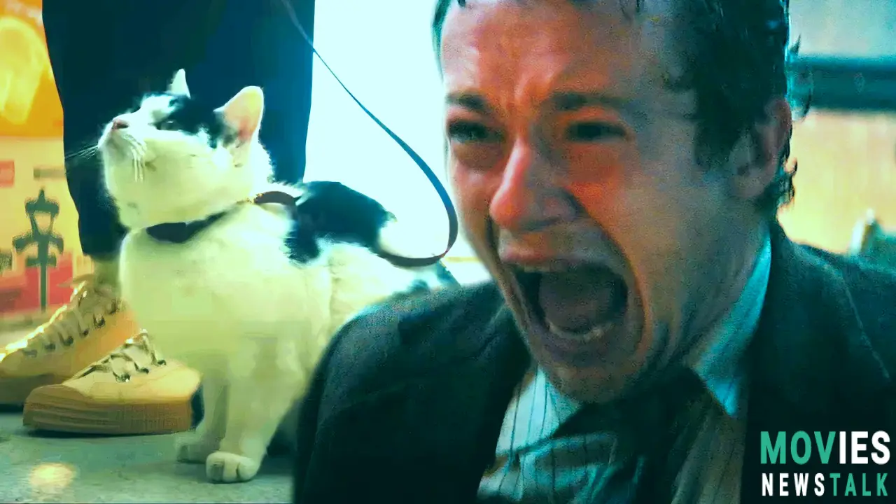 Frodo the Cat Steals the Show in 'A Quiet Place: Day One' - Fans React! Main Image