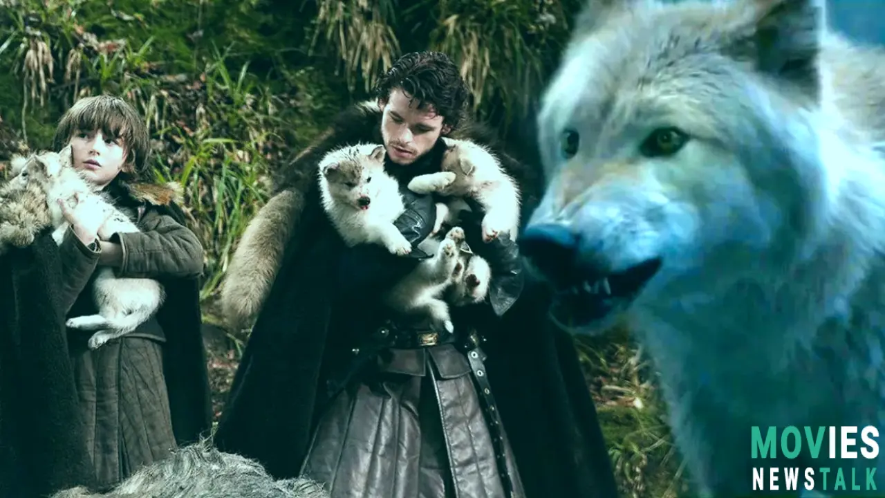 Game of Thrones Direwolves: Where Did They End Up?  Main Image