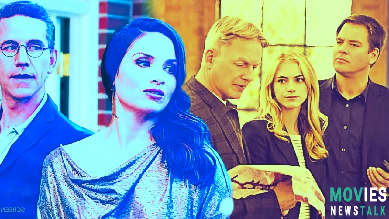 Is Jessica Knight Leaving NCIS? Here's Why The Couple Might Be Over! Main Image