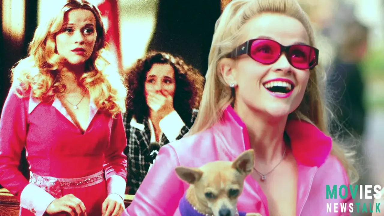 Legally Blonde Prequel TV Show: Elle is Coming to TV! Main Image