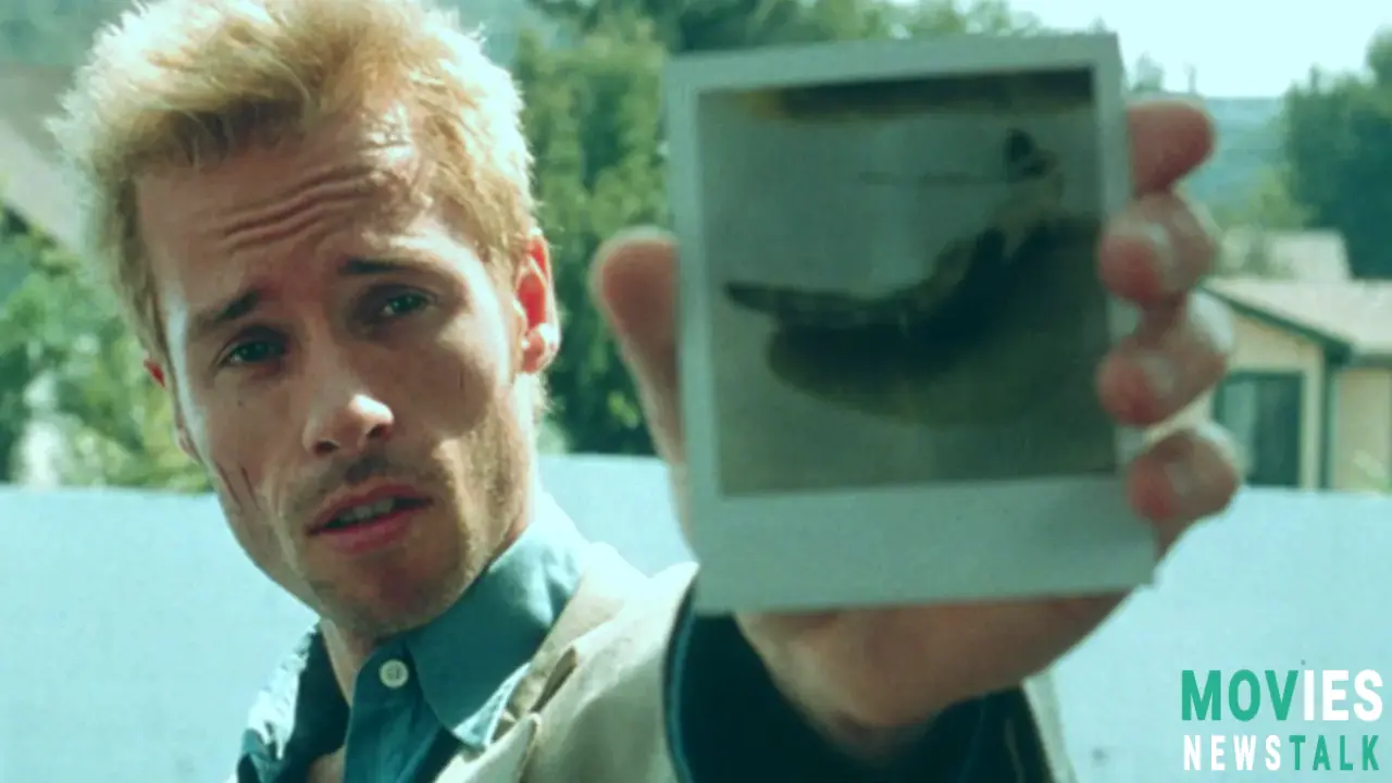 Movies Like Memento: Top Mind-Bending Films & Where to Find More Main Image