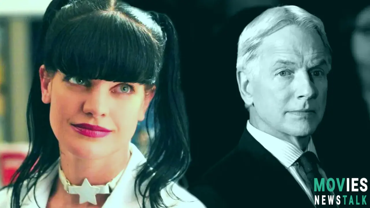 NCIS Cast Changes: The Reasons Behind the Departures Main Image