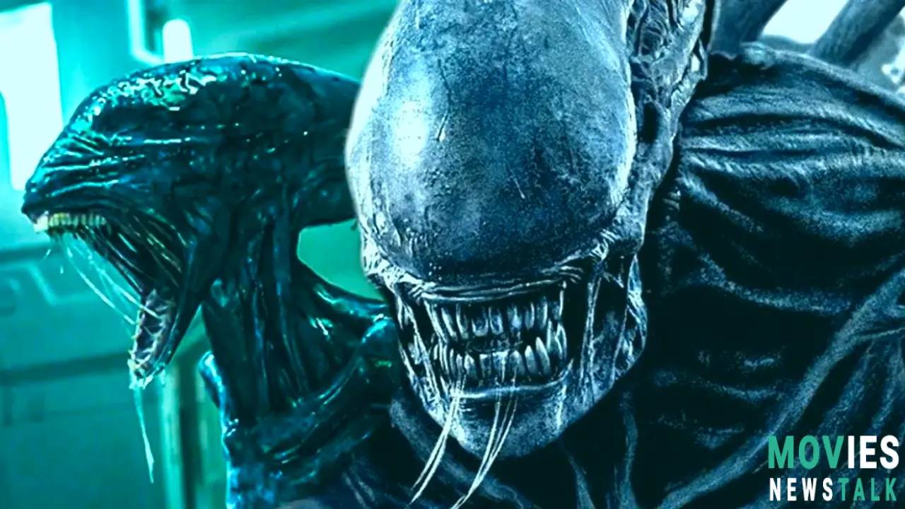 Prometheus's Deacon: A Xenomorph Mountain? Unraveling the Alien Prequel Mystery Main Image